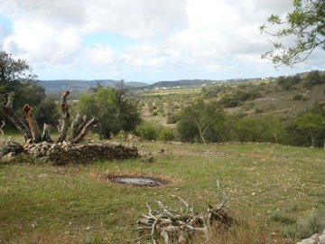 5149-795256-8e72a618765bd8dbf5502e3674808f79b