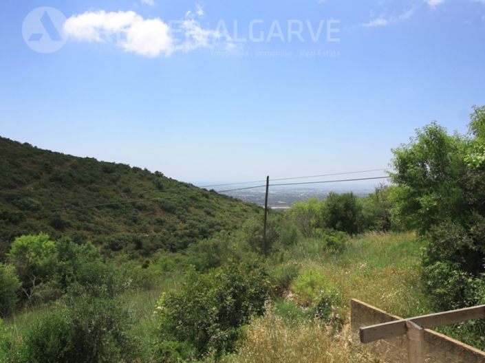 Image No.2-Plot for sale