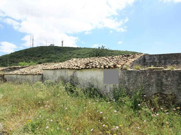 Image No.3-Plot for sale