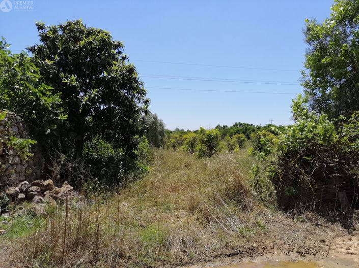 Image No.10-Terre à vendre à Luz de Tavira