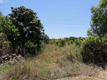 5149-795269-2cc89edbe504c7d6304b0ec45ff95b1d1