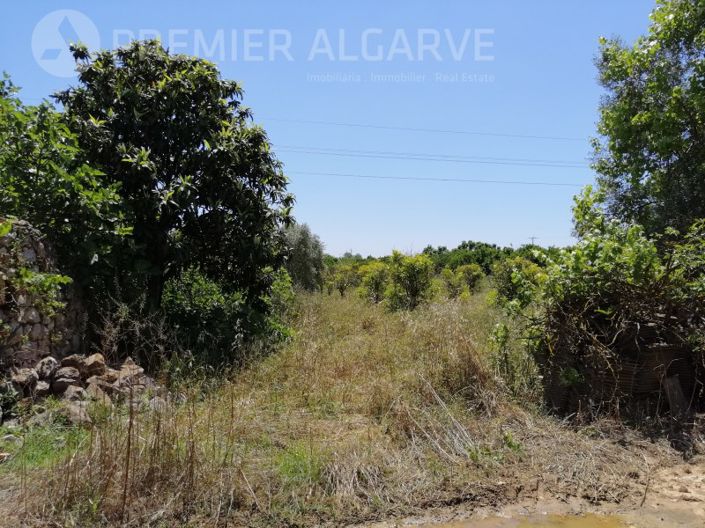 Image No.11-Plot for sale