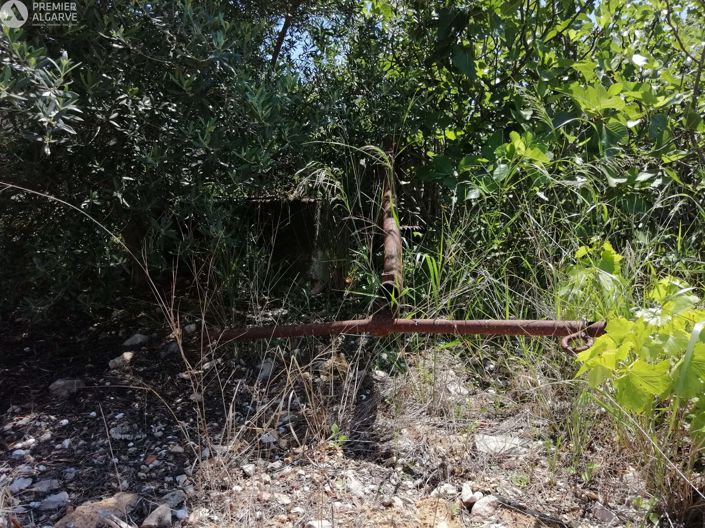 Image No.12-Terre à vendre à Luz de Tavira