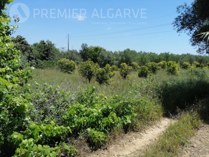 Image No.13-Plot for sale