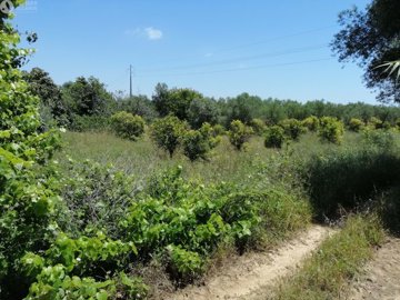 5149-795269-f6f6199dbe89f3428624eb15915102135