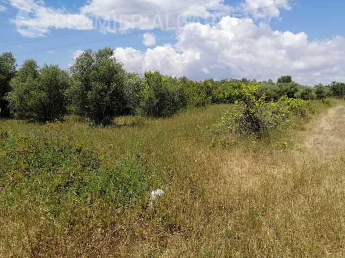 Image No.14-Plot for sale