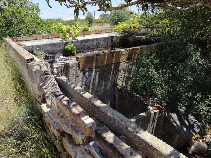 Image No.14-Terre à vendre à Luz de Tavira