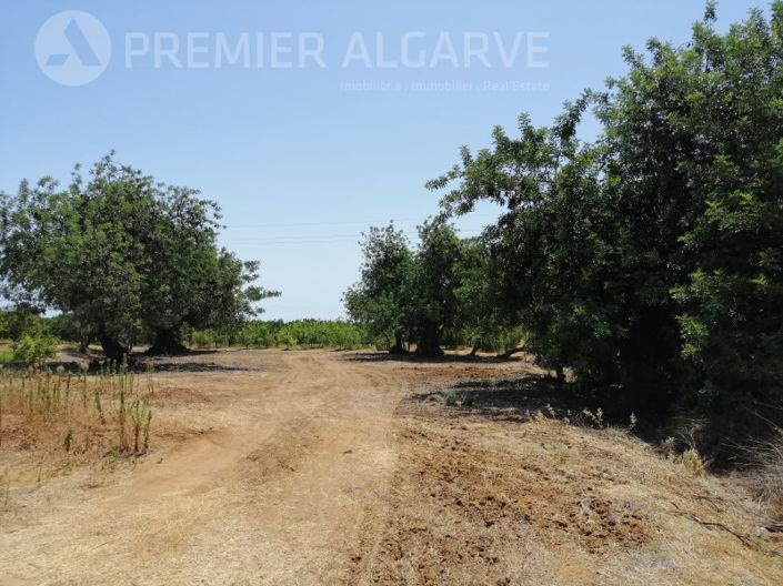 Image No.16-Plot for sale