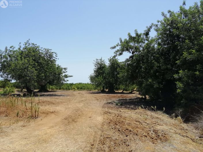 Image No.16-Terre à vendre à Luz de Tavira