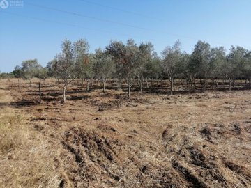 5149-795269-f6f6199dbe89f3428624eb15915102135