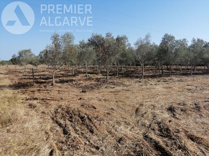 Image No.5-Land for sale