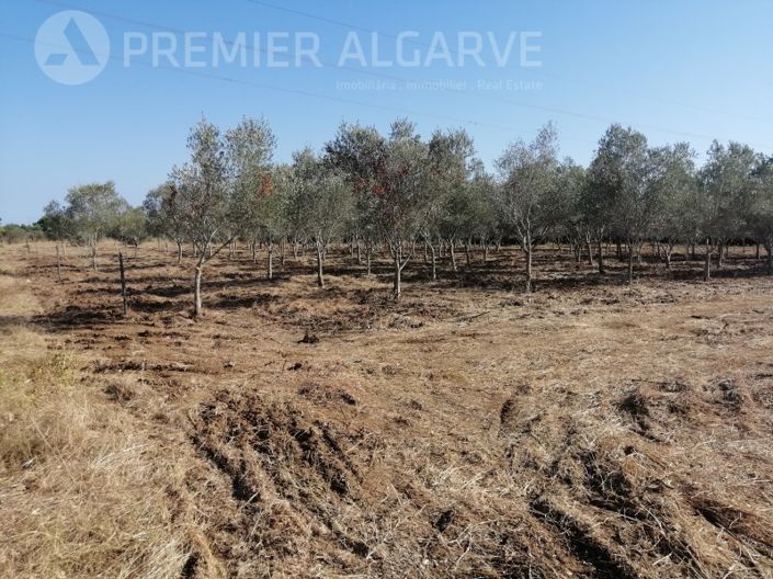 Image No.7-Plot for sale