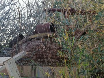 5149-795269-f6f6199dbe89f3428624eb15915102135