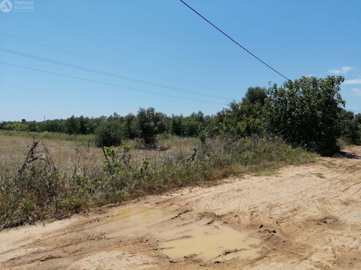 Image No.9-Terre à vendre à Luz de Tavira