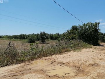 5149-795269-2cc89edbe504c7d6304b0ec45ff95b1d1