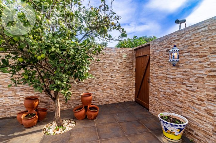 Image No.4-6 Bed Villa for sale