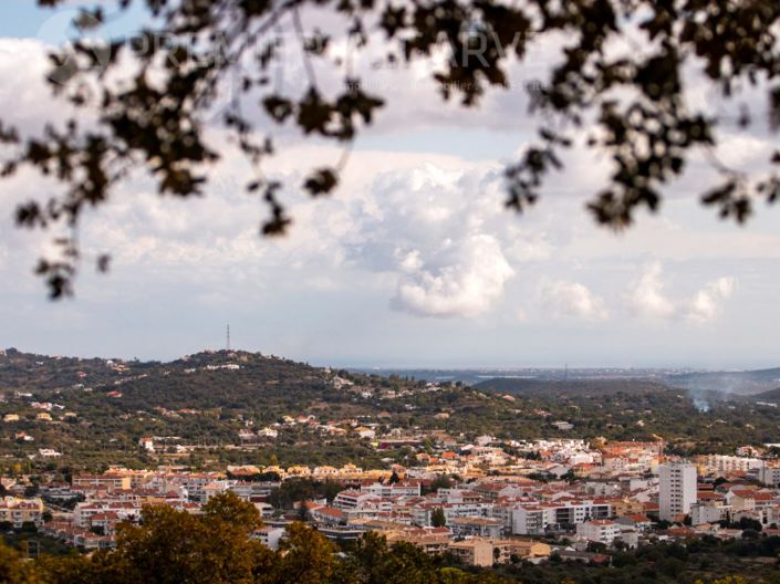 Image No.4-Plot for sale