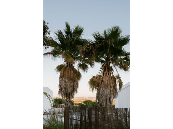 Image No.44-Maison de 3 chambres à vendre à Olhão