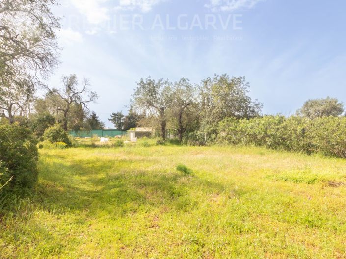 Image No.26-6 Bed House for sale