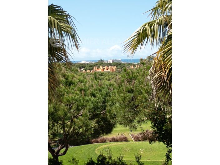 Image No.31-3 Bed House for sale