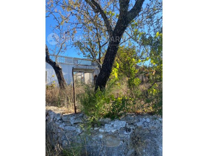 Image No.6-Plot for sale