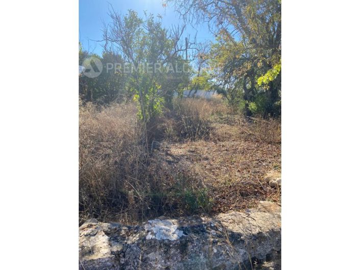 Image No.9-Plot for sale