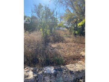 idddc95f01-0000-0500-0000-0000104b82e7