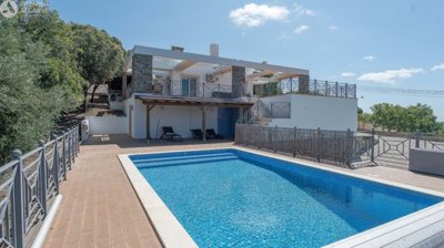 5149-796372-17fc7a1fea6ce452b55b8d392d0a2ff41