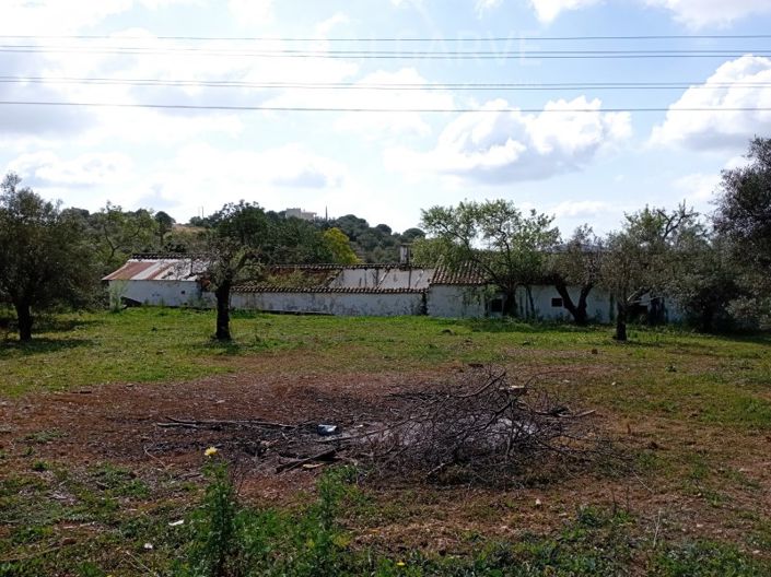 Image No.1-Terrain à vendre à Loule