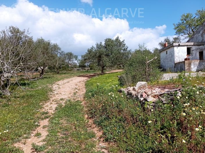 Image No.2-Plot for sale