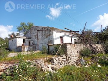 id2fc85a01-0000-0500-0000-00000fe23a47