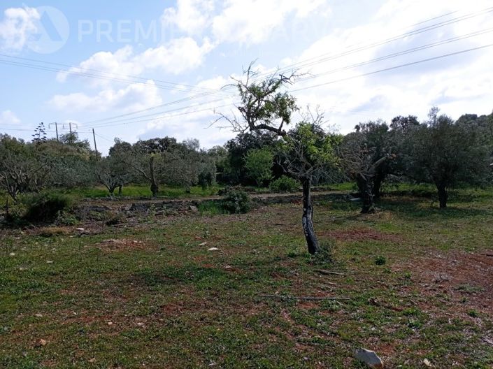 Image No.5-Plot for sale