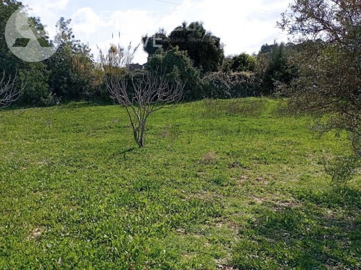 Image No.5-Land for sale