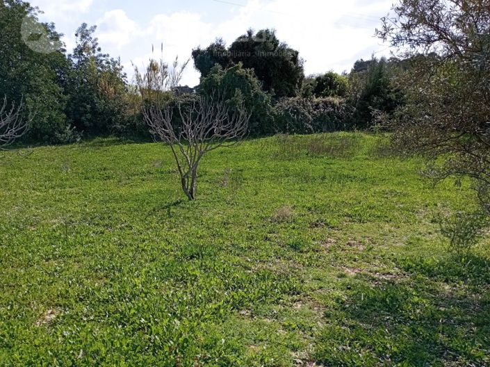 Image No.6-Plot for sale