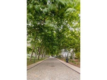 id2fc85a01-0000-0500-0000-000011bfe4bd