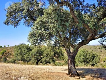 idba569b00-0000-0500-0000-0000054c3d90