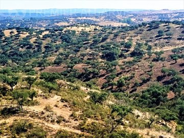 idba569b00-0000-0500-0000-0000054c3d7c