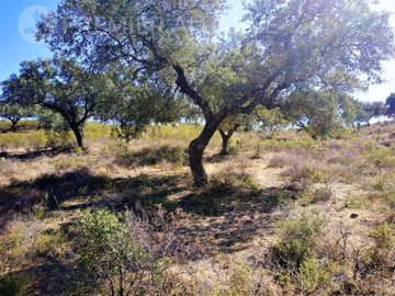 idba569b00-0000-0500-0000-0000054c3d81