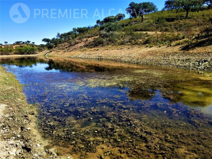 Image No.5-Farmhouse for sale