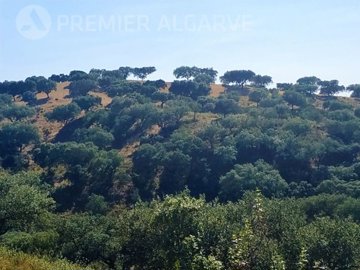 idba569b00-0000-0500-0000-0000054c3d87