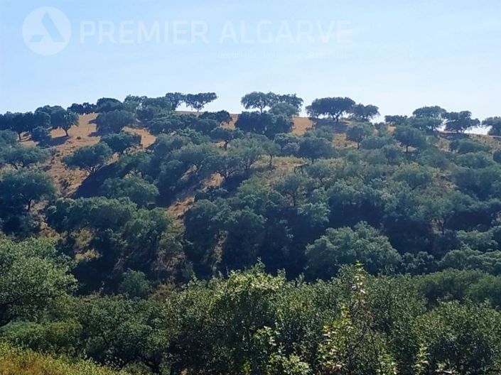 Image No.7-Farmhouse for sale