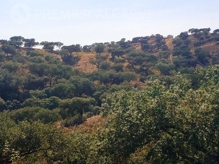 Image No.8-Farmhouse for sale