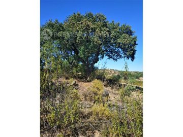 idba569b00-0000-0500-0000-0000054c3d8a