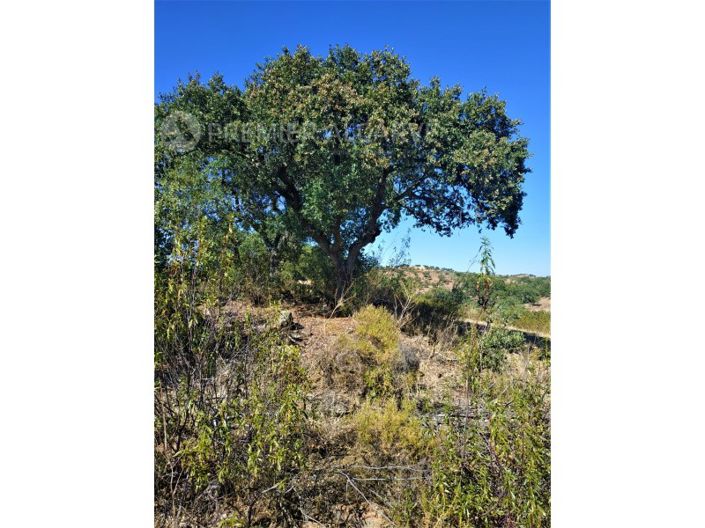 Image No.9-Farmhouse for sale