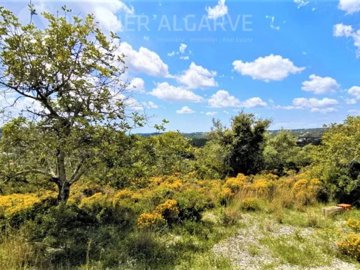 idf0424901-0000-0500-0000-00000eb34864