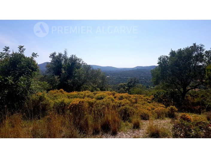 Image No.2-Plot for sale