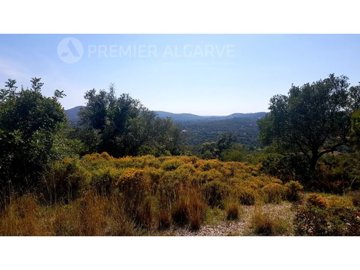 idf0424901-0000-0500-0000-00000eb31d51