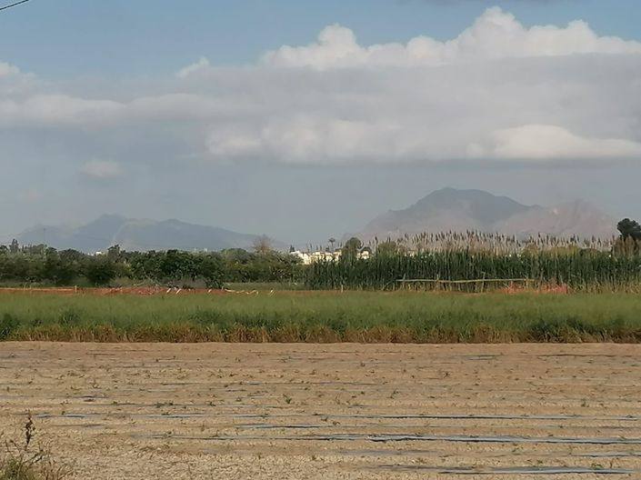 Image No.2-Villa de 3 chambres à vendre à Daya Nueva