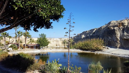 Image No.18-Villa de 3 chambres à vendre à San Miguel de Salinas