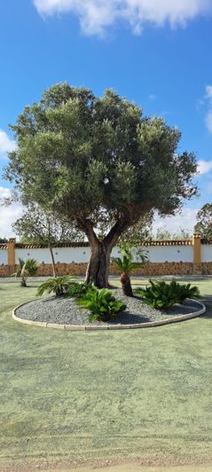 Image No.10-Villa de 3 chambres à vendre à Dolores